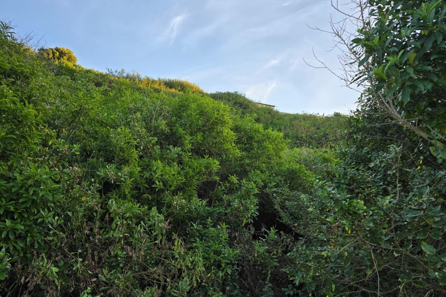0 Bedroom Property for Sale in Santareme Eastern Cape